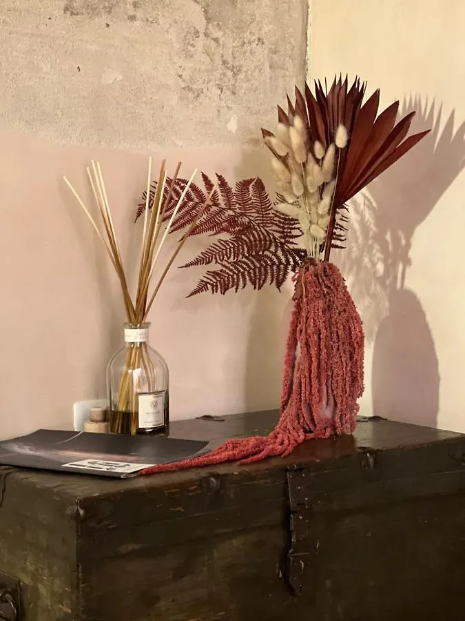 Guest house The Magnificent Maison Du Charme Florence Italy